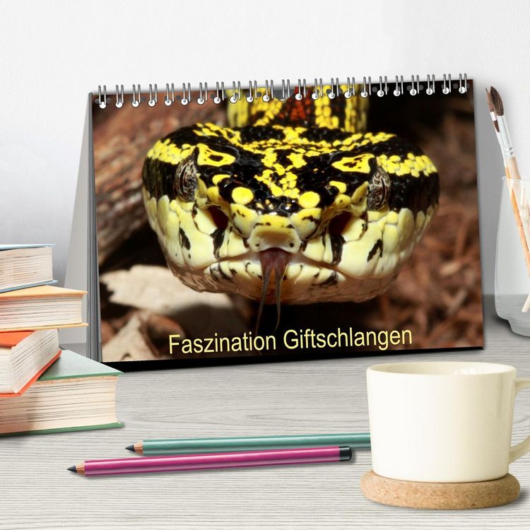 Produktbild: Faszination Giftschlangen (Tischkalender 2026 DIN A5 quer), CALVENDO Monatskalender