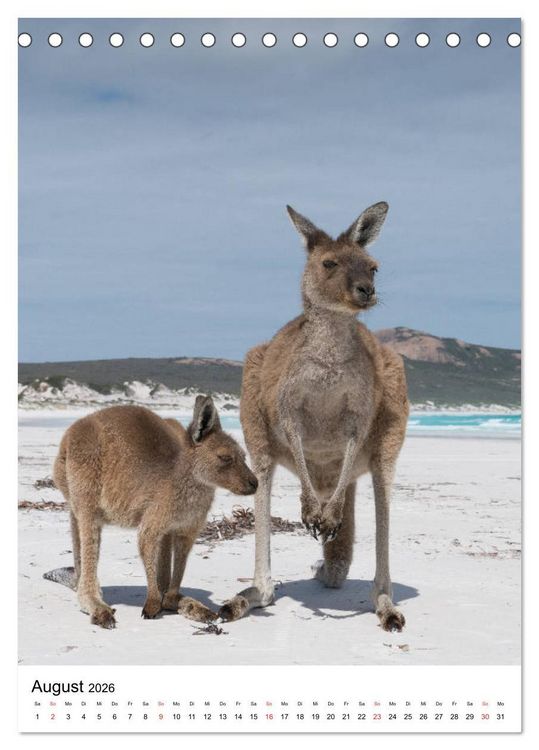 Produktbild: Australien - Hilfe f&uuml;r die einzigartige Tierwelt (Tischkalender 2026 DIN A5 hoch), CALVENDO Monatskalender