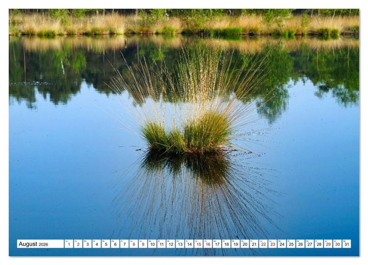 Produktbild: Impressionen aus dem Moor (hochwertiger Premium Wandkalender 2026 DIN A2 quer), Kunstdruck in Hochglanz