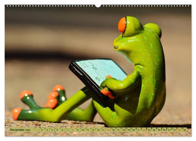 Produktbild: Froschsommer. Liebe, Sonne und Urlaub (hochwertiger Premium Wandkalender 2026 DIN A2 quer), Kunstdruck in Hochglanz