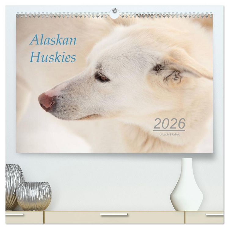 Produktbild: Alaskan Huskies (hochwertiger Premium Wandkalender 2026 DIN A2 quer), Kunstdruck in Hochglanz