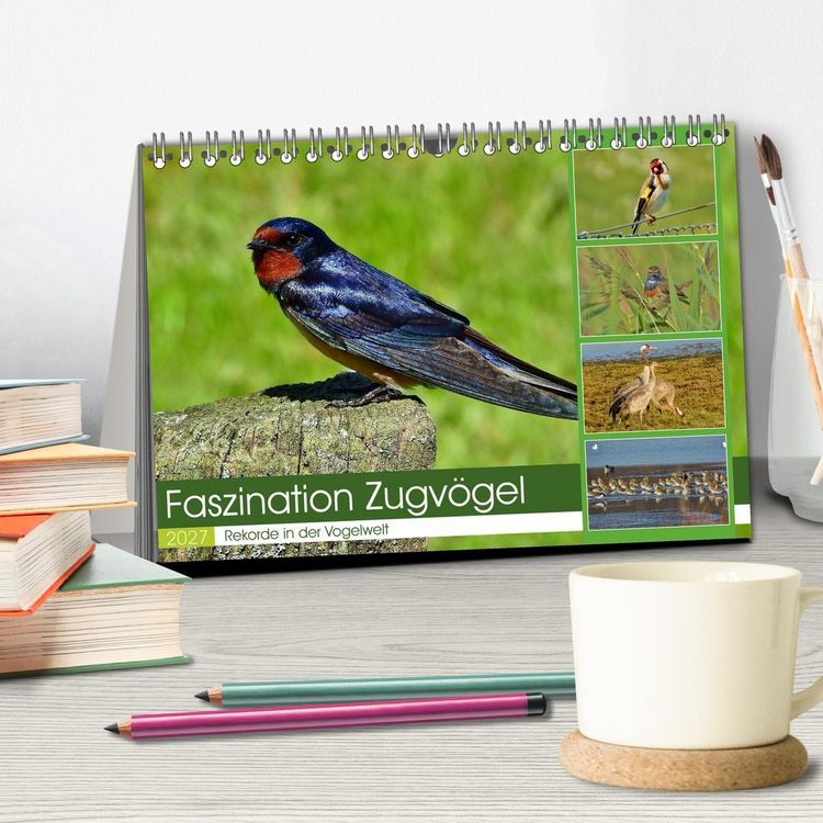 Produktbild: Faszination Zugv&ouml;gel - Rekorde in der Vogelwelt (Tischkalender 2027 DIN A5 quer), CALVENDO Monatskalender