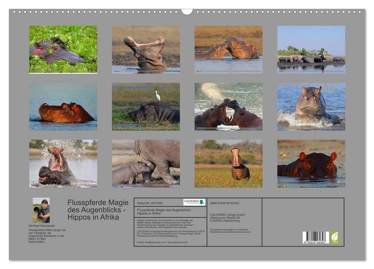 Produktbild: Flusspferde Magie des Augenblicks - Hippos in Afrika (Wandkalender 2026 DIN A2 quer), CALVENDO Monatskalender