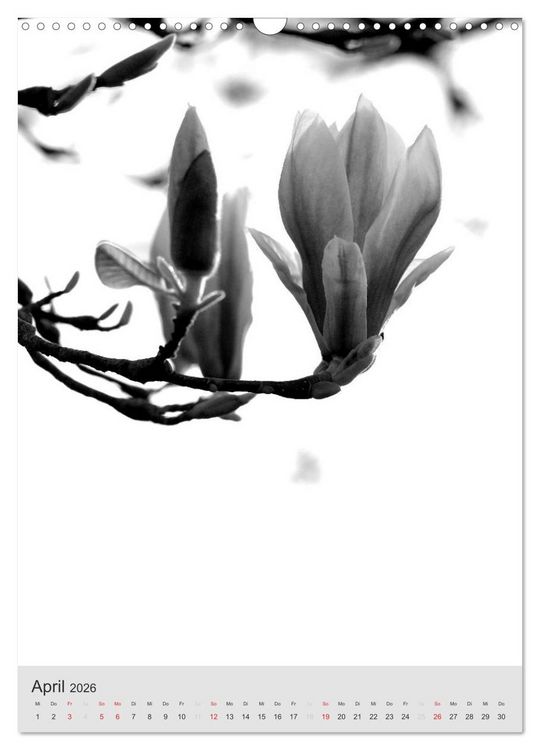 Produktbild: Monochrome Bl&uuml;ten - In Schwarz-Wei&szlig; Bildern durch das Jahr (Wandkalender 2026 DIN A3 hoch), CALVENDO Monatskalender