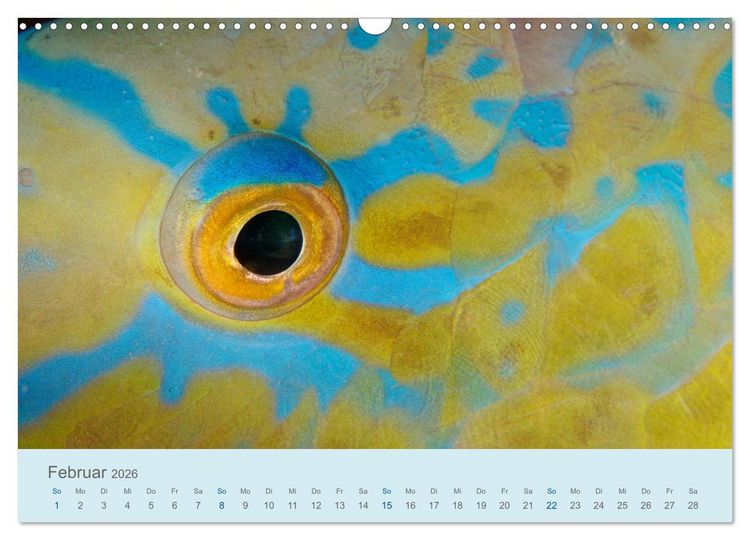 Produktbild: Abenteuer Unterwasser (Wandkalender 2026 DIN A3 quer), CALVENDO Monatskalender