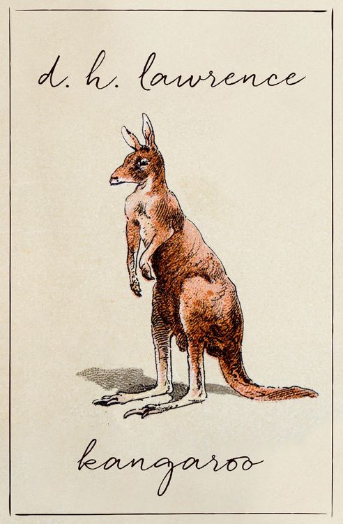Produktbild: Kangaroo