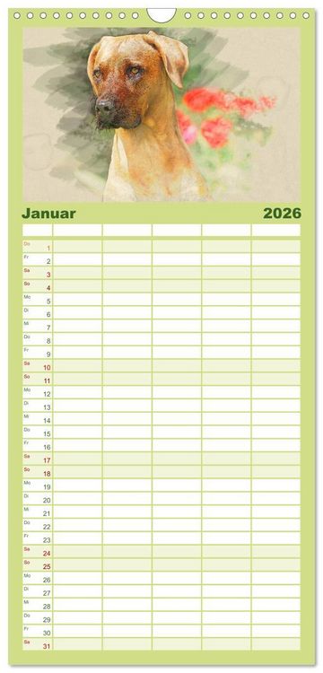 Produktbild: Familienplaner 2026 - Rhodesian Ridgeback 2026 mit 5 Spalten (Wandkalender, 21 x 45 cm) CALVENDO
