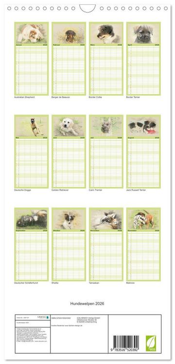 Produktbild: Familienplaner 2026 - Hundewelpen 2026 mit 5 Spalten (Wandkalender, 21 x 45 cm) CALVENDO