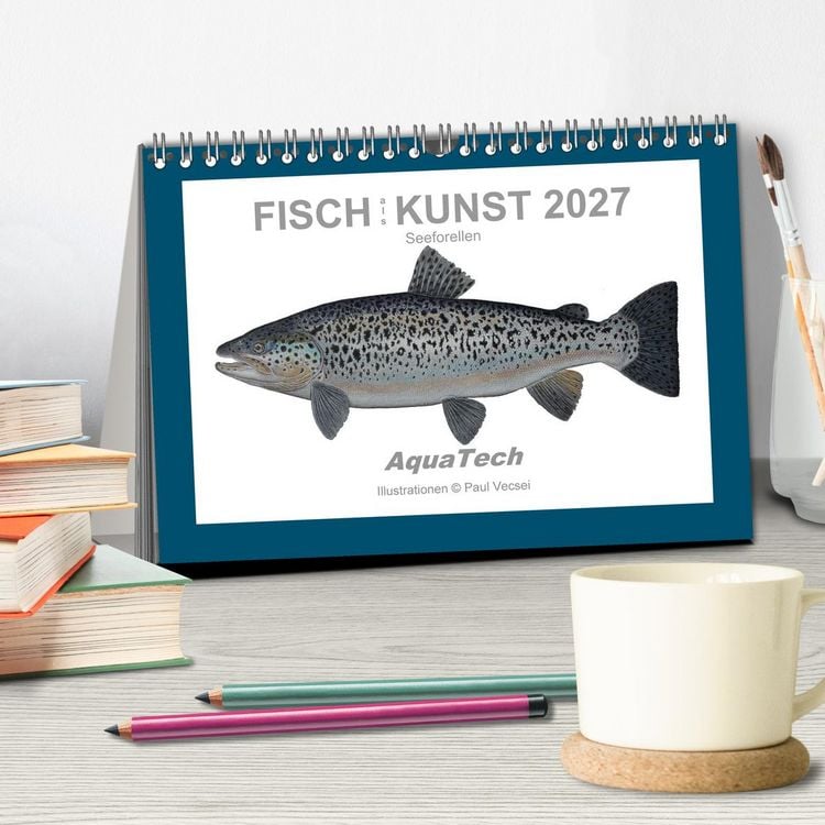 Produktbild: Fisch als Kunst 2027: Seeforellen (Tischkalender 2027 DIN A5 quer), CALVENDO Monatskalender