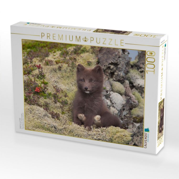Produktbild: CALVENDO Puzzle Zeigt her eure F&uuml;&szlig;e | 1000 Teile Lege-Gr&ouml;&szlig;e 64x48cm Foto-Puzzle f&uuml;r gl&uuml;ckliche Stunden
