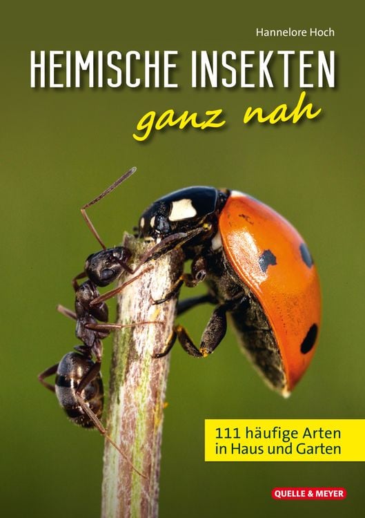 Produktbild: Heimische Insekten ganz nah