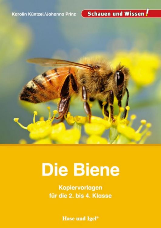 Produktbild: Die Biene &ndash; Kopiervorlagen f&uuml;r die 2. bis 4. Klasse