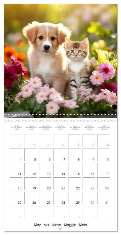 Produktbild: Mignon duo (Calendrier mural carr&eacute; 2026 30x30 cm) Calendrier double avec une page pour vos prises de notes