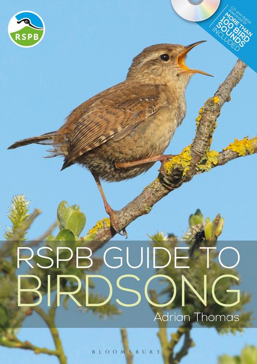 Produktbild: RSPB Guide to Birdsong