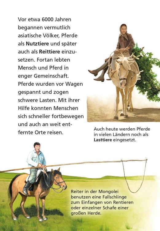 Produktbild: Pixi Wissen 1: Pferde und Ponys