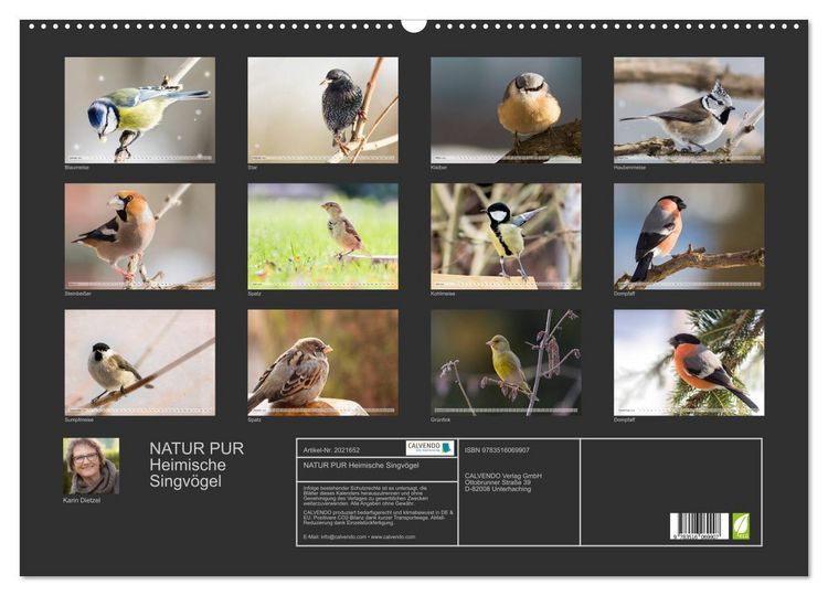 Produktbild: NATUR PUR Heimische Singv&ouml;gel (Wandkalender 2026 DIN A2 quer), CALVENDO Monatskalender