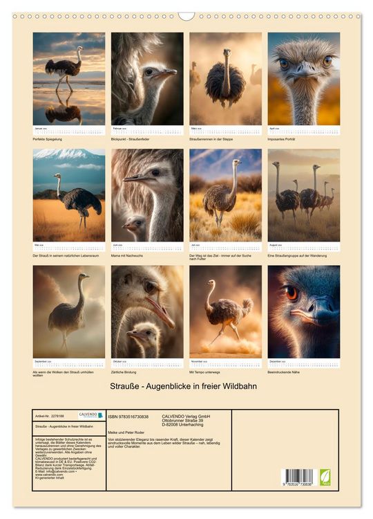 Produktbild: Strau&szlig;e - Augenblicke in freier Wildbahn (Wandkalender 2026 DIN A2 hoch), CALVENDO Monatskalender