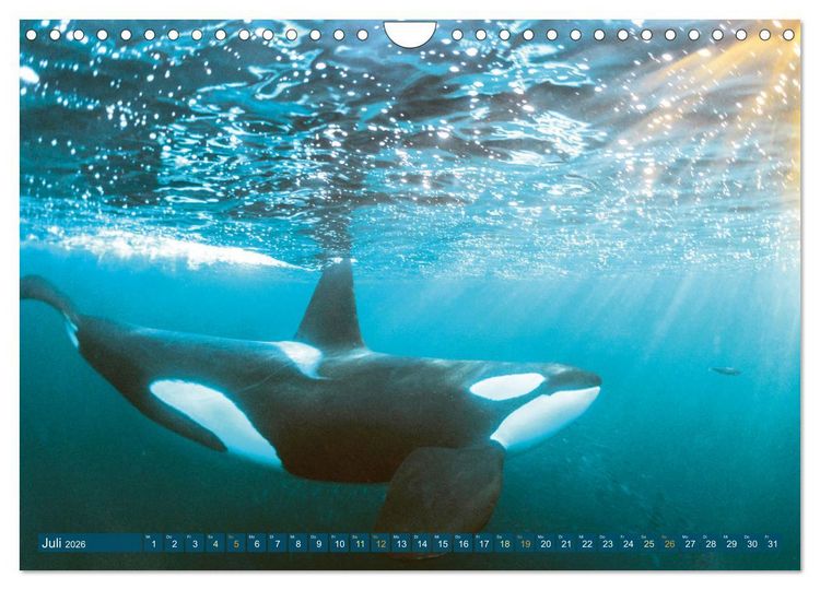 Produktbild: Planet Wasser: Von wegen Planet Erde (Wandkalender 2026 DIN A4 quer), CALVENDO Monatskalender