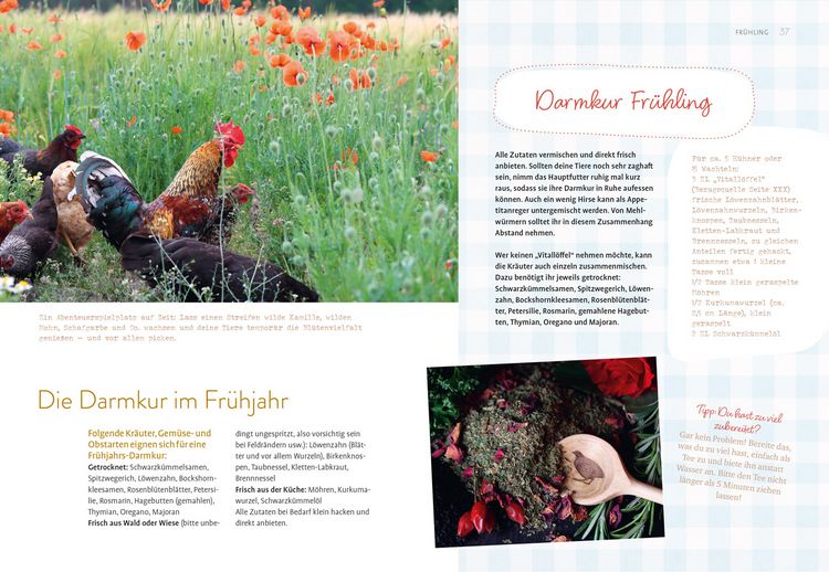 Produktbild: Was sucht das Huhn im Kr&auml;uterbeet?
