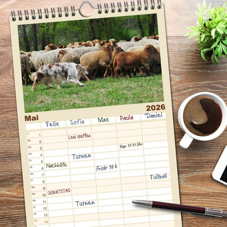 Produktbild: Familienplaner 2026 - Border Collie 2026 mit 5 Spalten (Wandkalender, 21 x 45 cm) CALVENDO