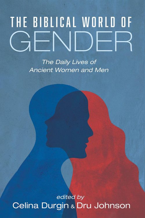 Produktbild: The Biblical World of Gender