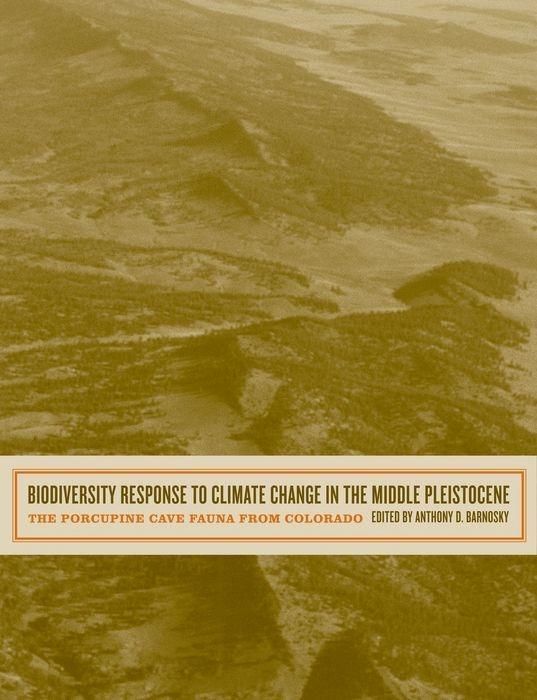 Produktbild: Anthony D Barnosky: Biodiversity Response to Climate Change