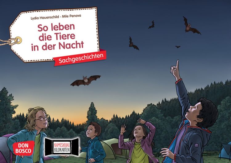 Produktbild: So leben die Tiere in der Nacht. Kamishibai Bildkartenset