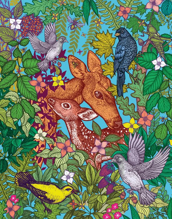 Produktbild: Bambi