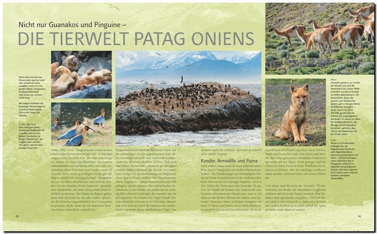 Produktbild: Horizont Patagonien