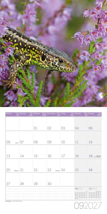 Produktbild: Gartenfreunde Kalender 2027 - 30x30 - Art12