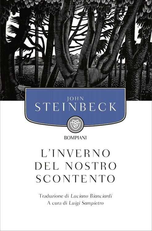 Produktbild: L' inverno del nostro scontento