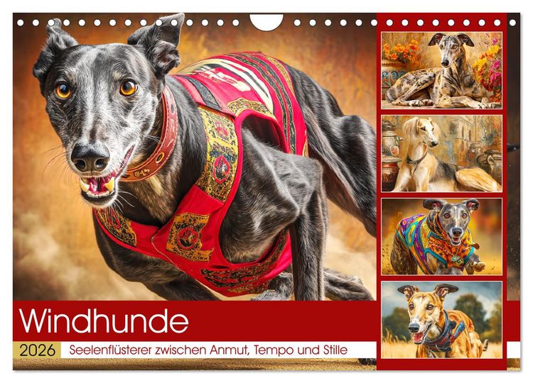 Produktbild: Windhunde. Seelenfl&uuml;sterer zwischen Anmut, Tempo und Stille (Wandkalender 2026 DIN A4 quer), CALVENDO Monatskalender