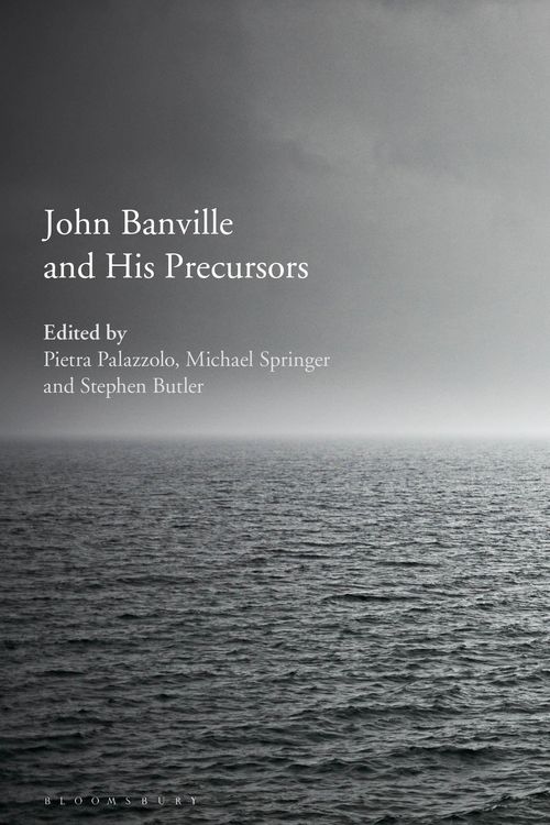 Produktbild: John Banville and His Precursors