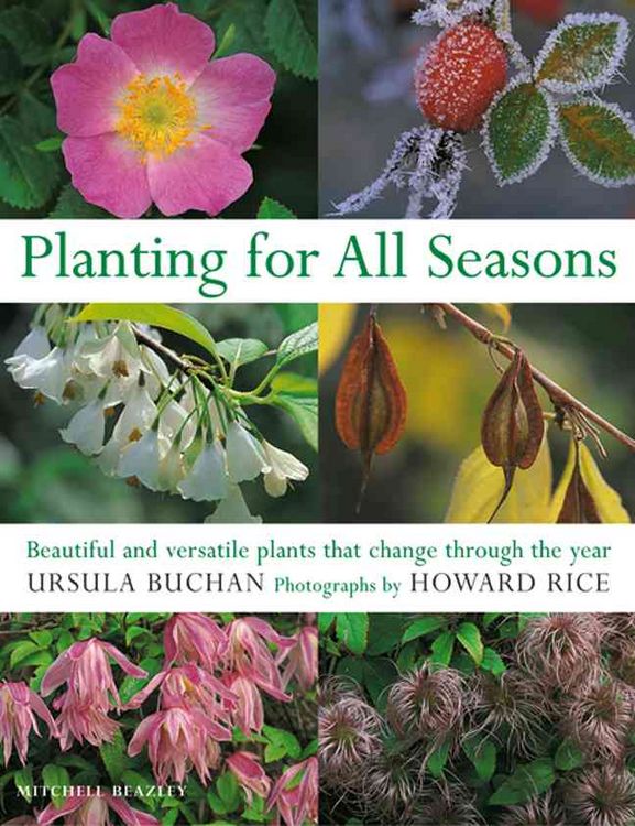 Produktbild: Planting for All Seasons: Beautiful and Versatile Plants That Change Through the Year