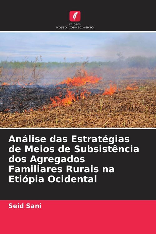 Produktbild: An&aacute;lise das Estrat&eacute;gias de Meios de Subsist&ecirc;ncia dos Agregados Familiares Rurais na Eti&oacute;pia Ocidental