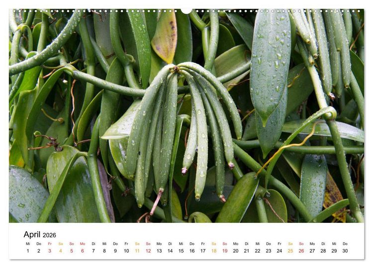 Produktbild: La R&eacute;union - Auf der Insel der Gef&uuml;hle (hochwertiger Premium Wandkalender 2026 DIN A2 quer), Kunstdruck in Hochglanz