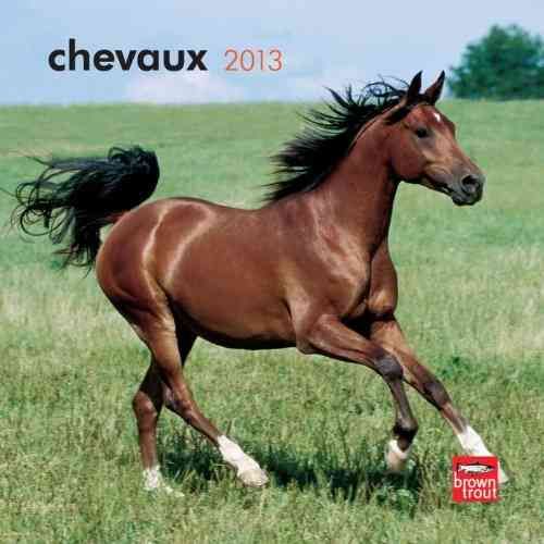Produktbild: Chevaux 2013 Calendar