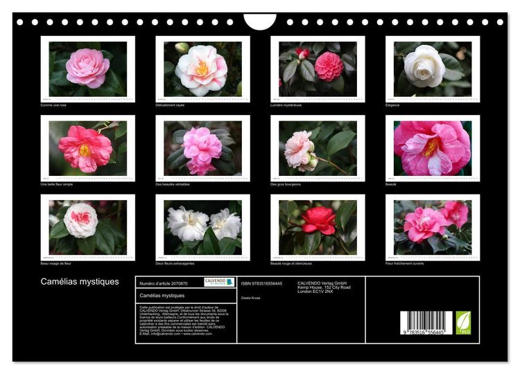 Produktbild: Cam&eacute;lias mystiques (Calendrier mural 2026 DIN A4 vertical), CALVENDO calendrier mensuel
