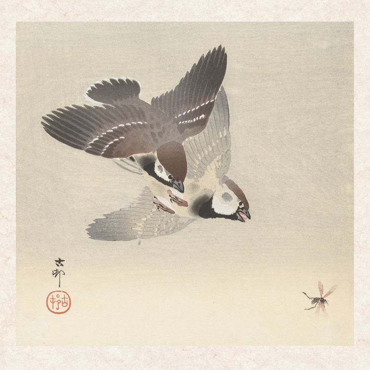 Produktbild: Ohara Koson 2027