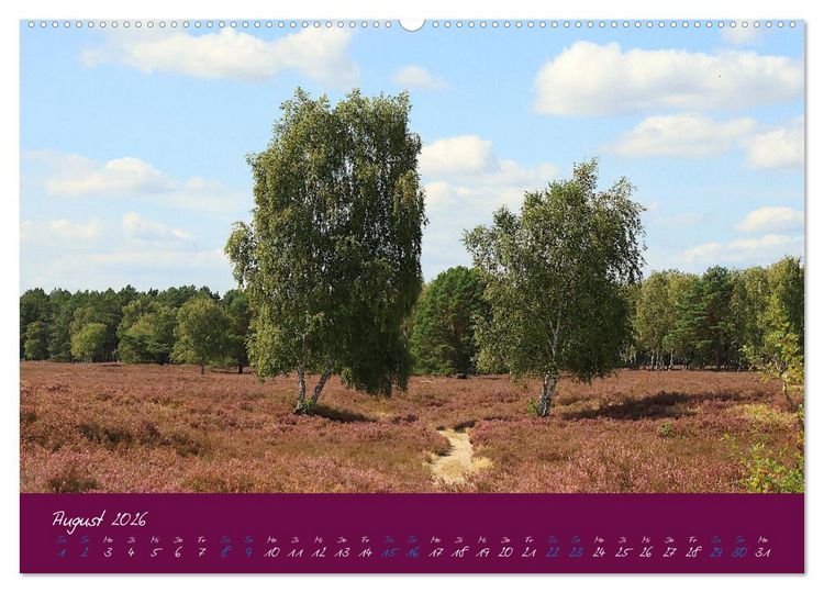 Produktbild: Die Nemitzer Heide - Im Wendland unterwegs (Wandkalender 2026 DIN A2 quer), CALVENDO Monatskalender