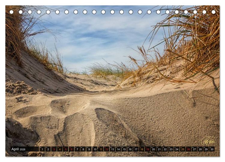 Produktbild: Nordsee-D&uuml;nen (Tischkalender 2026 DIN A5 quer), CALVENDO Monatskalender