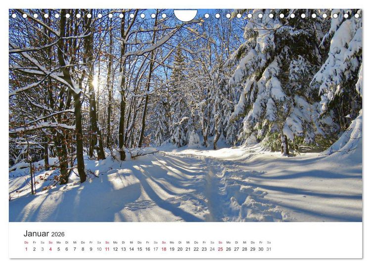 Produktbild: Wege durchs Jahr- Zitate begleiten auf romantisch sch&ouml;nen Wegen (Wandkalender 2026 DIN A4 quer), CALVENDO Monatskalender