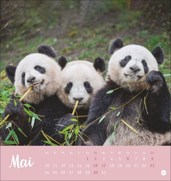 Produktbild: B&auml;renstark Postkartenkalender 2027