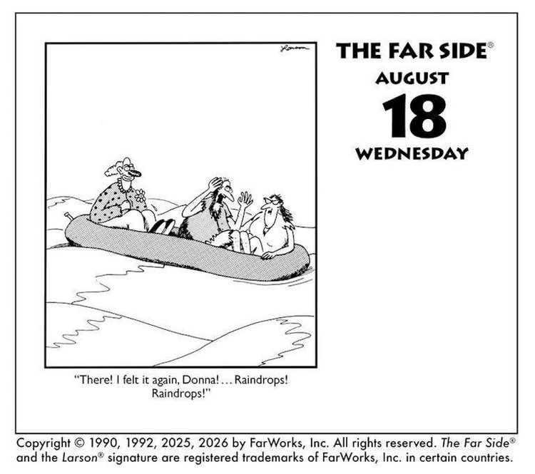 Produktbild: The Far Side 2027