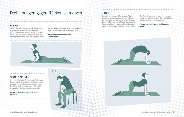 Produktbild: Die Bewegungs-Docs - Bewegung als Medizin