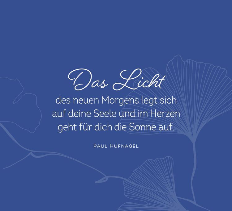 Lichtblicke für jeden Tag