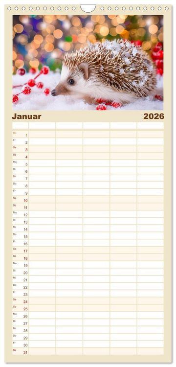 Produktbild: Familienplaner 2026 - Mein Igel-Kalender mit 5 Spalten (Wandkalender, 21 x 45 cm) CALVENDO