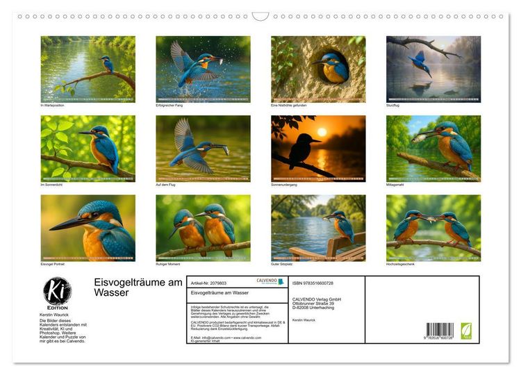 Produktbild: Eisvogeltr&auml;ume am Wasser (Wandkalender 2026 DIN A2 quer), CALVENDO Monatskalender