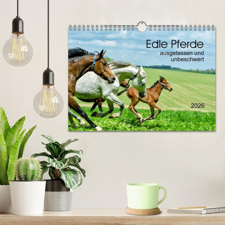Produktbild: Edle Pferde - ausgelassen und unbeschwert (Wandkalender 2026 DIN A4 quer), CALVENDO Monatskalender