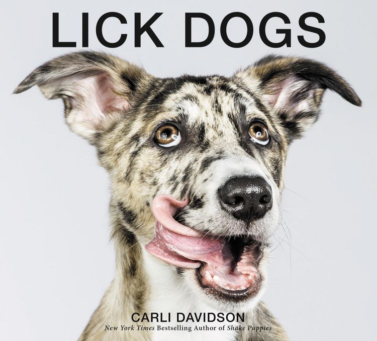 Produktbild: Lick Dogs